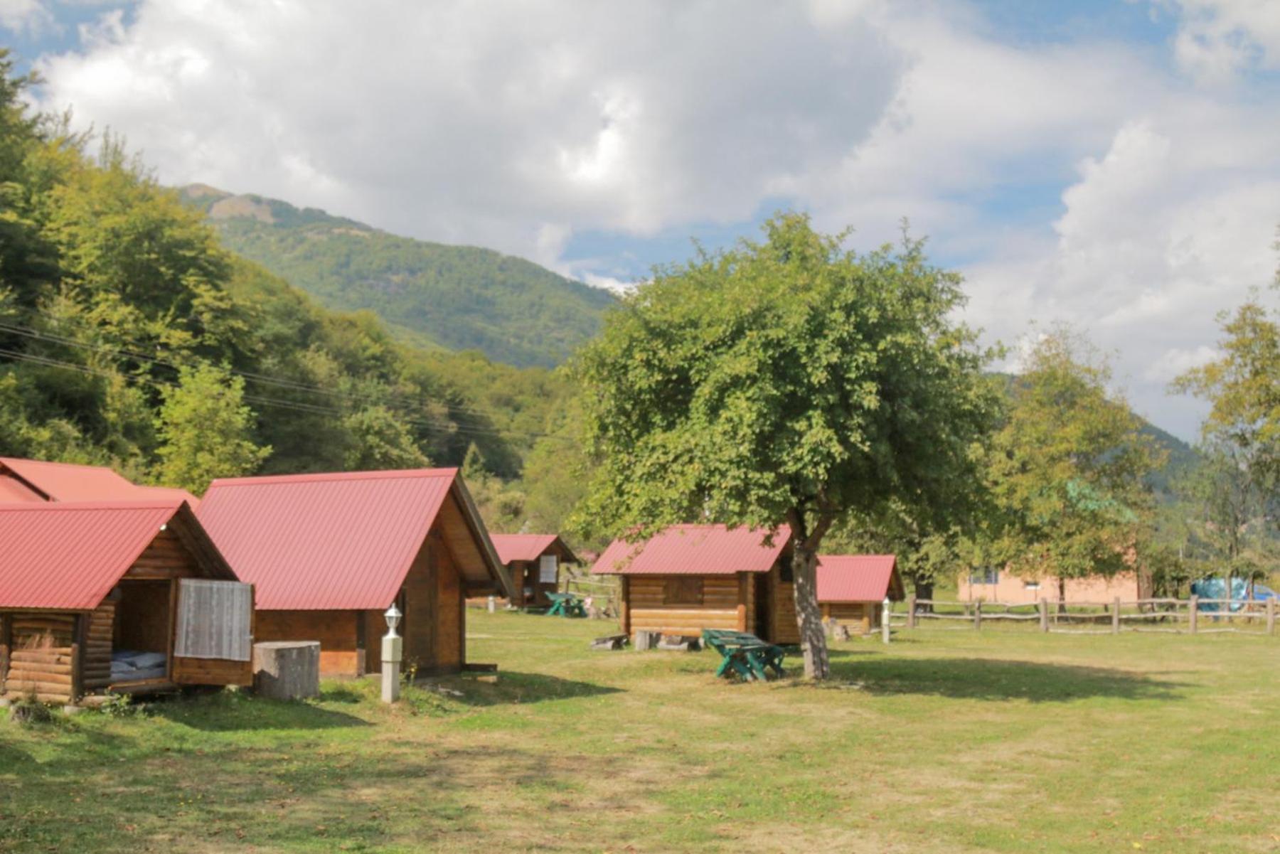 Camp &Apartmens Scepanovic Mojkovac Exterior foto